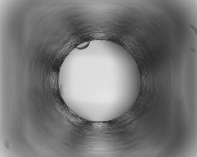 X0000103280234200808291053