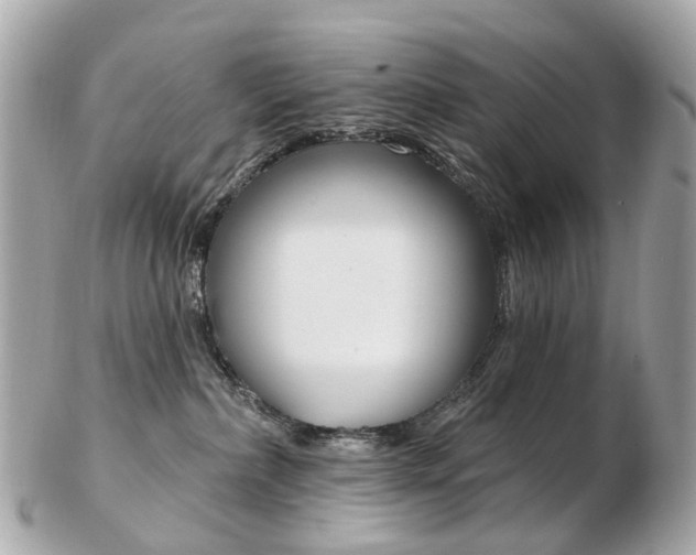 X0000103280236200808291053