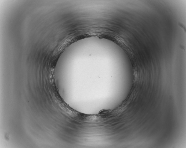 X0000103280237200808291053