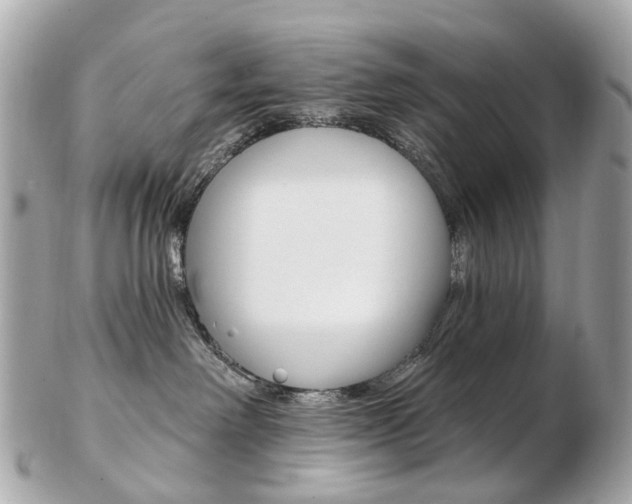 X0000103280238200808291053