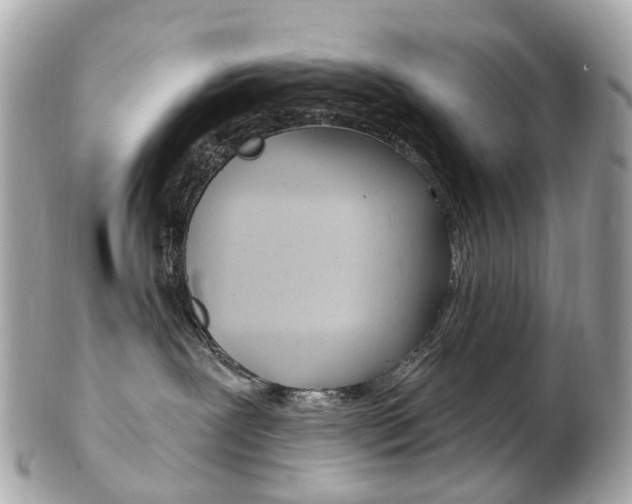 X0000103280239200808291053