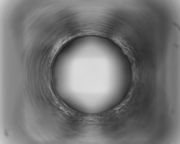 X0000103280241200808291052