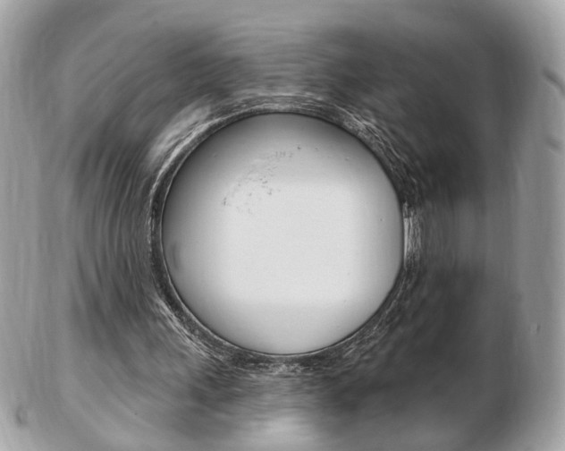 X0000103280243200808291052