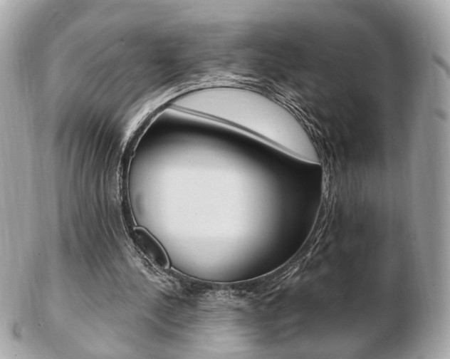 X0000103280244200808291052