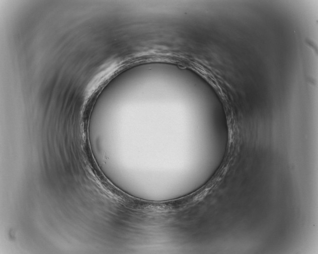 X0000103280245200808291052