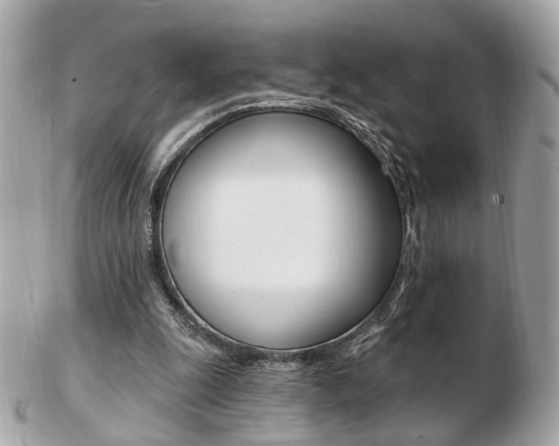 X0000103280247200808291052