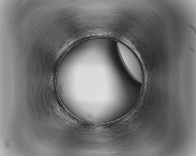 X0000103280249200808291052