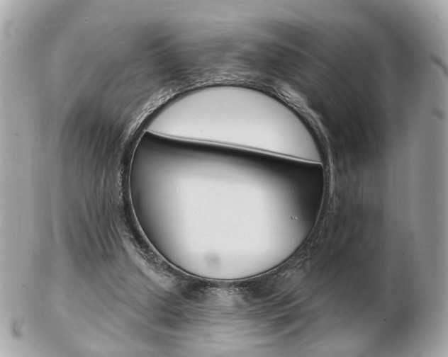 X0000103280250200808291052