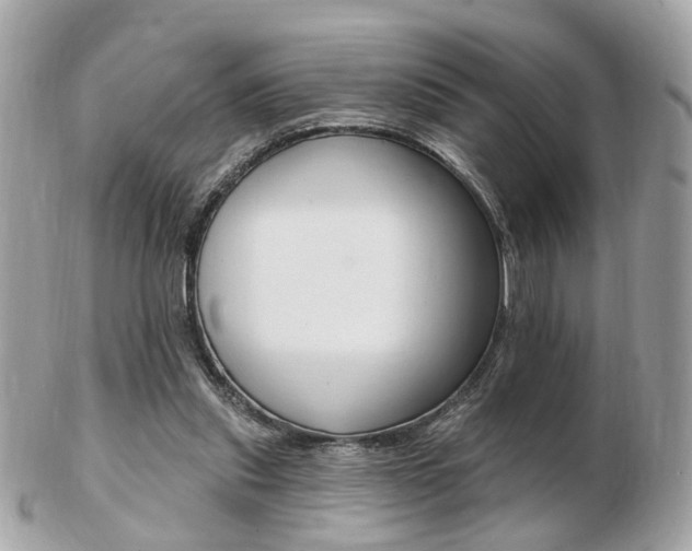 X0000103280253200808291052