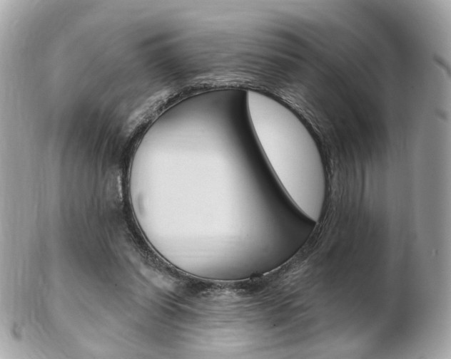 X0000103280254200808291052
