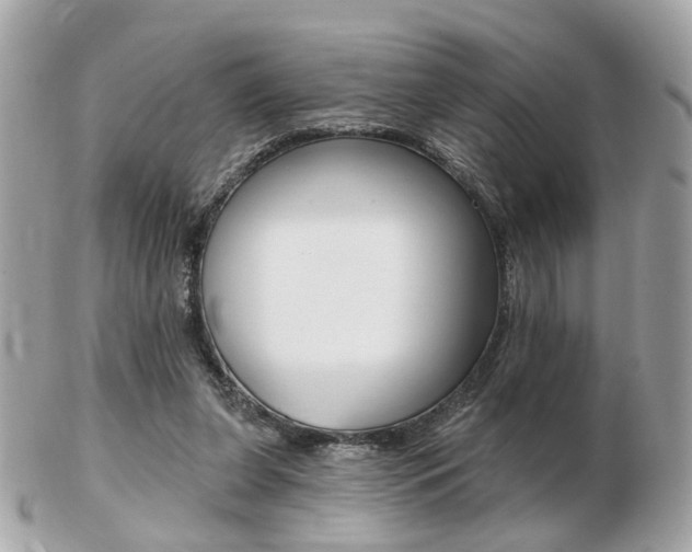 X0000103280255200808291052