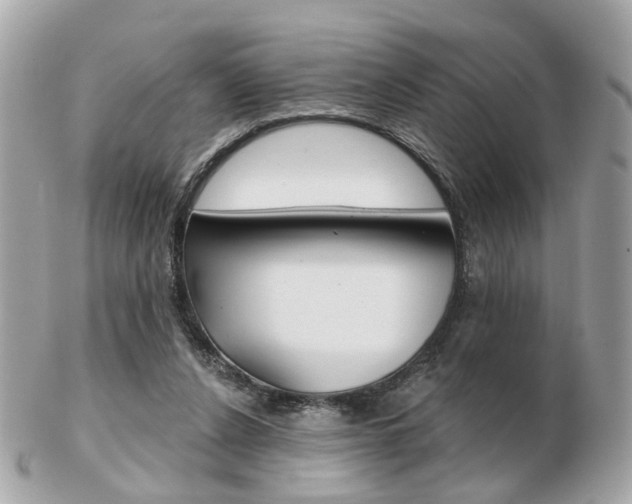 X0000103280256200808291052