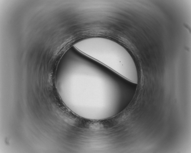 X0000103280258200808291052