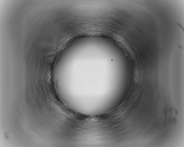 X0000103280259200808291052