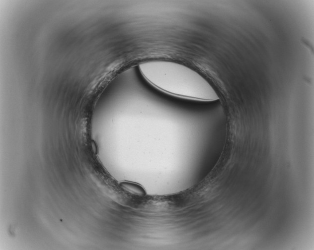 X0000103280260200808291052