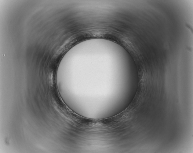 X0000103280262200808291052