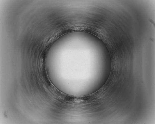 X0000103280263200808291052