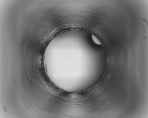 X0000103280264200808291052