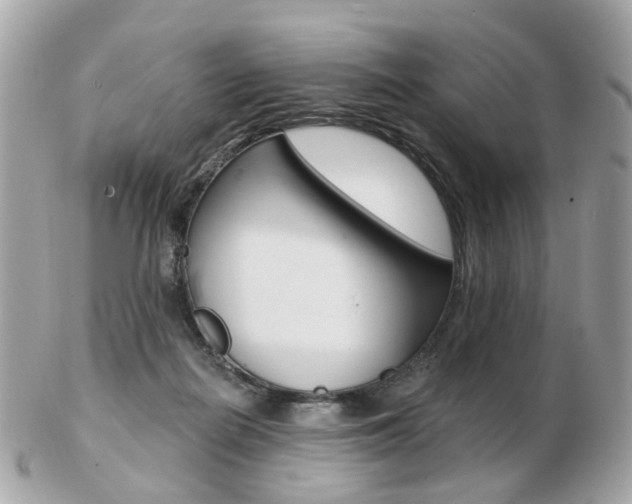 X0000103280266200808291052