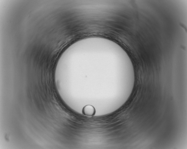 X0000103280268200808291052