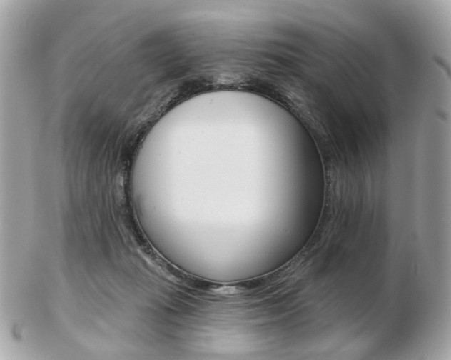 X0000103280269200808291052