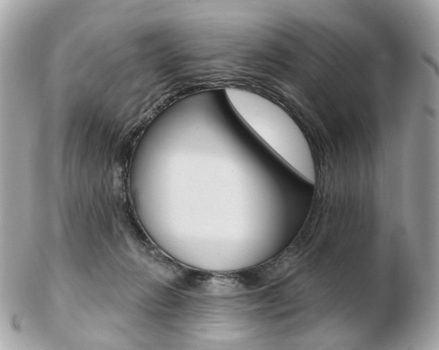 X0000103280270200808291052