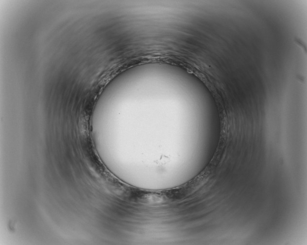 X0000103280272200808291052