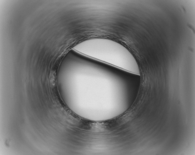 X0000103280273200808291052