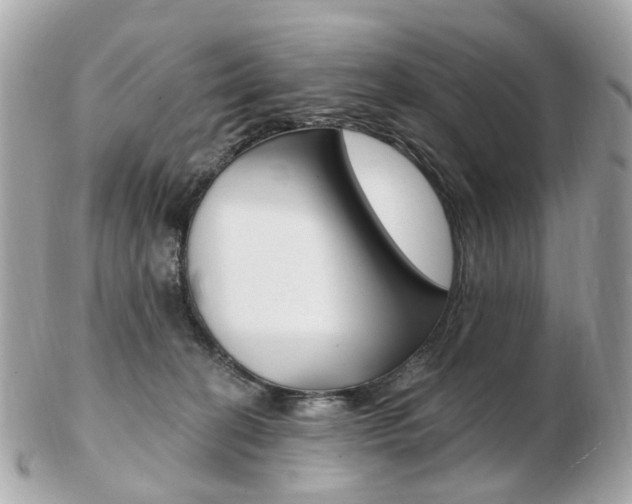 X0000103280274200808291052