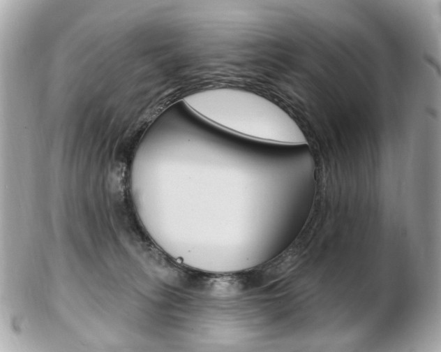 X0000103280275200808291052