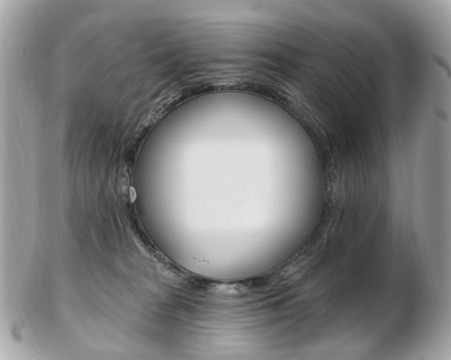 X0000103280277200808291053
