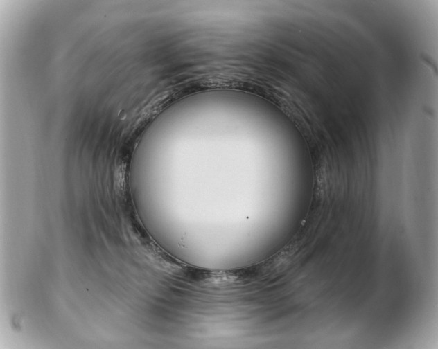 X0000103280278200808291053