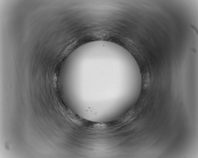 X0000103280279200808291053
