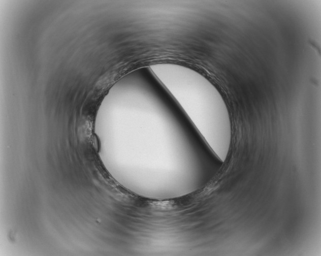 X0000103280281200808291053