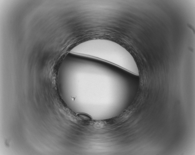 X0000103280282200808291053