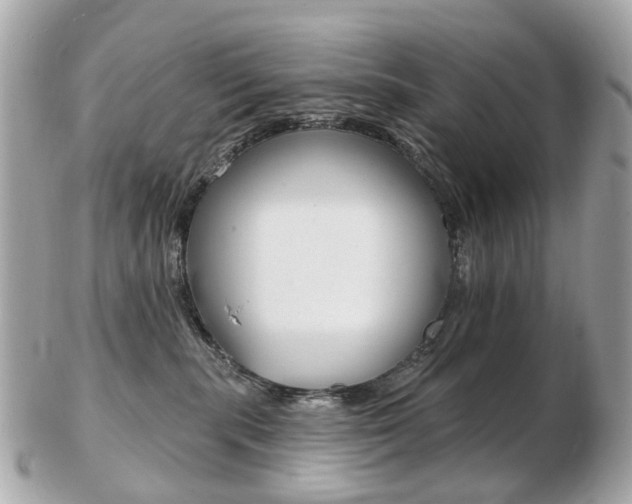 X0000103280283200808291053