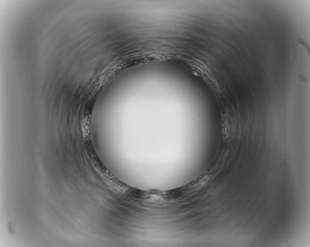 X0000103280285200808291053