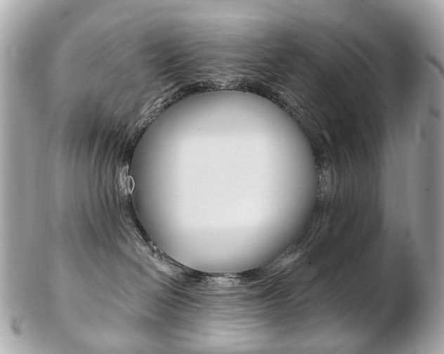X0000103280286200808291053