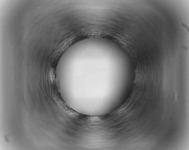 X0000103280287200808291053