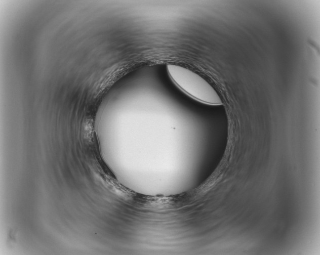 X0000103280288200808291053
