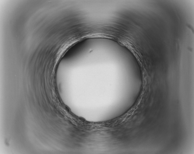 X0000103280289200808291052
