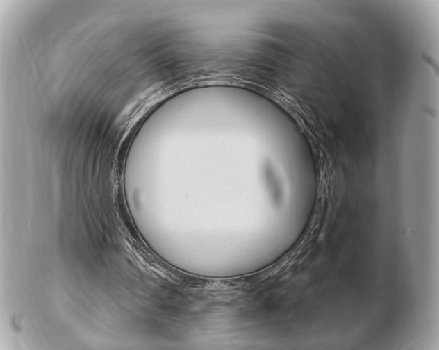 X0000103280290200808291052