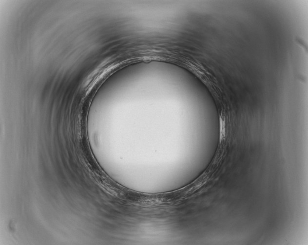 X0000103280291200808291052