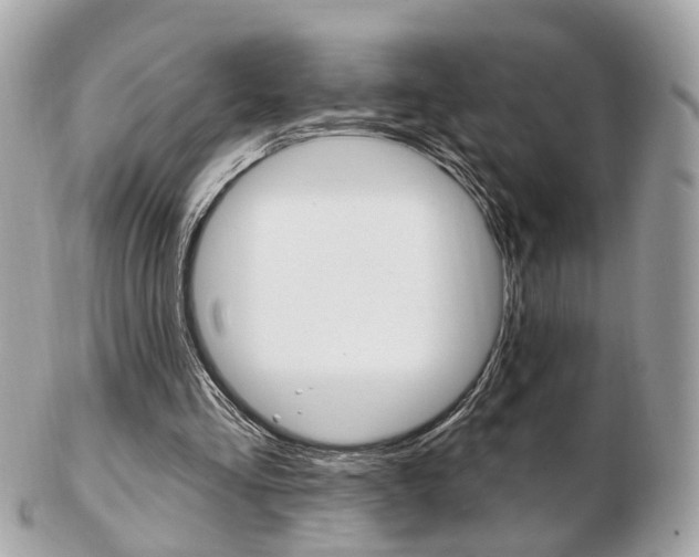 X0000103280293200808291052