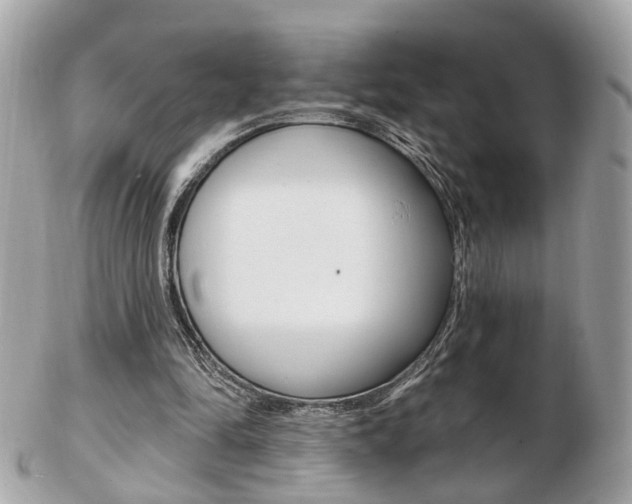 X0000103280294200808291052