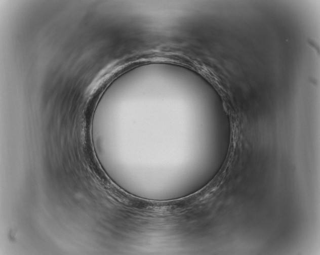 X0000103280295200808291052