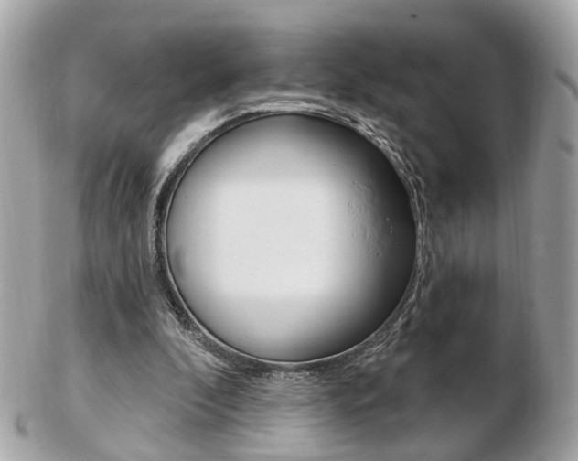 X0000103280296200808291052