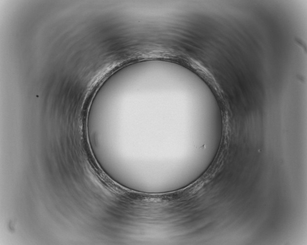 X0000103280298200808291052