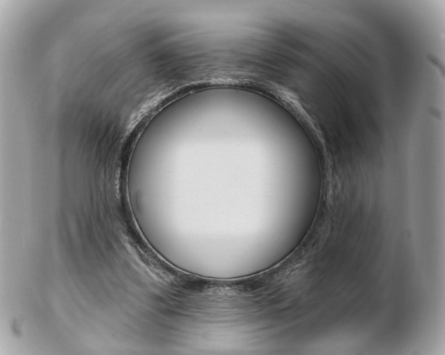 X0000103280299200808291052