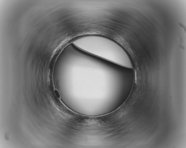 X0000103280300200808291052